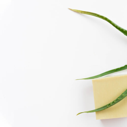 Aloe vera y glicerina: beneficios de combinarlos en el cuidado diario de la piel